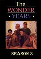 Anos Incríveis (3ª Temporada) (The Wonder Years (Season 3))