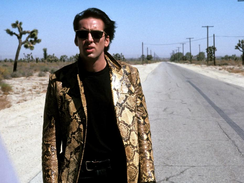 Foto 58 de Coração Selvagem