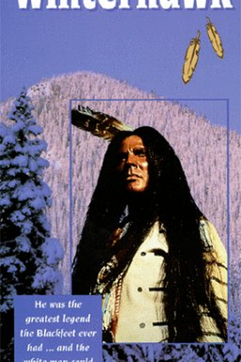  de Filme A Vingança do Falcão (1975)