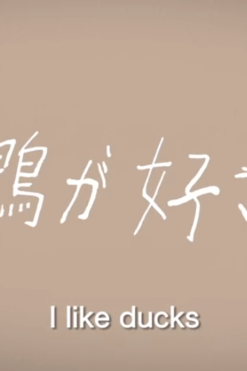  de Curta I Like Ducks (2017)