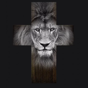 Foto de perfil de Willian