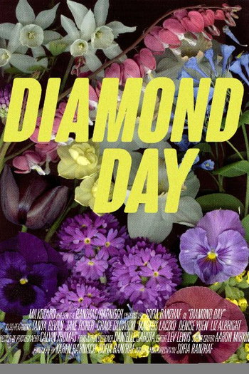 Poster de Curta Diamond Day (2015)