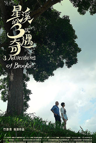 Poster 1 de Filme Três Aventuras de Brooke (2018)