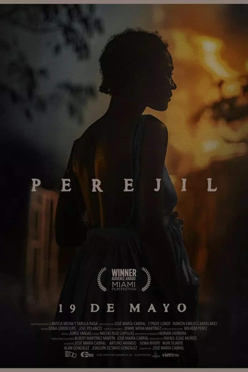 Poster de Filme O Massacre da Salsinha (2022)