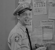 Andy on Trial