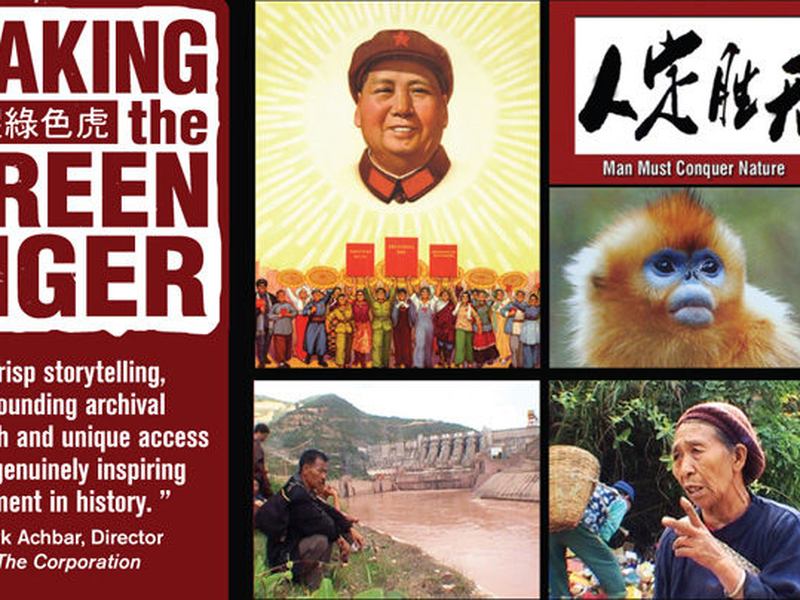 Foto 2 de Waking the Green Tiger