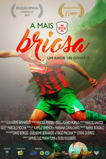 A Mais Briosa - Um Amor 100 Divisão (A Mais Briosa - Um Amor 100 Divisão)