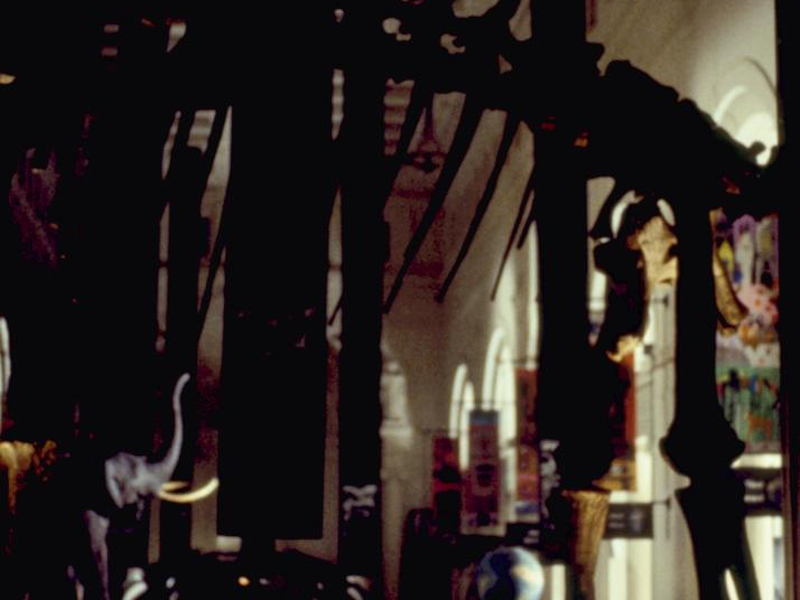 Foto 2 de Fuga de Los Angeles