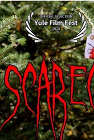 Poster 1 de Curta Scarecrow (2024)