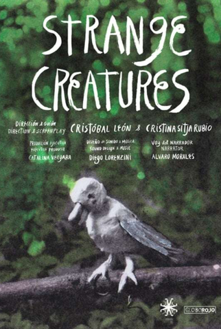 Poster 1 de Curta EXTRAÑAS CRIATURAS (2019)