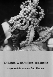 Arrasta a Bandeira Colorida (Arrasta a Bandeira Colorida)