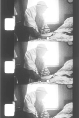 Whole Note (Whole Note)