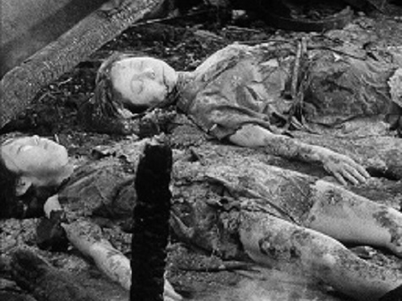 Foto 7 de O Gato Preto