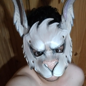 Foto de perfil de Allan