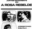 Rosa Rebelde