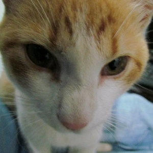 Foto de perfil de Diego M.