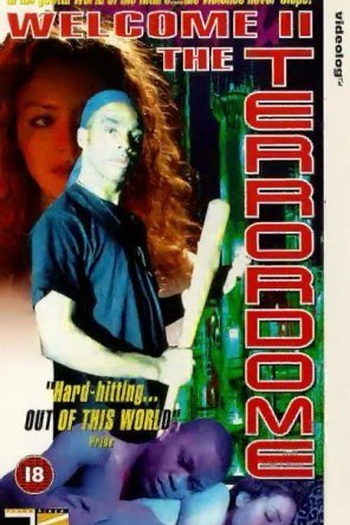 Poster de Filme Bem-Vindo ao Terordome (1995)