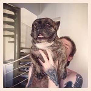 Foto de perfil de Rafael