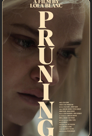 Poster 1 de Curta Pruning (2023)