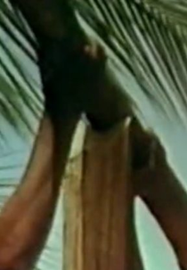 Chão de Casa (Chão de Casa)