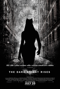 Batman: O Cavaleiro das Trevas Ressurge - Poster / Capa / Cartaz - Oficial 20