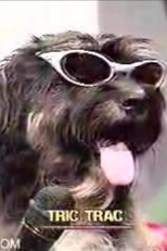 Tric Trac (Tric Trac)