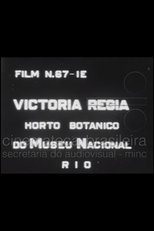 Victória Régia: Horto Botânico do Museu Nacional (Victória Régia: Horto Botânico do Museu Nacional)