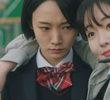 낙화2
