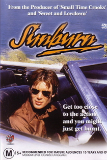 Sunburn - As Aventuras de Um Verão - Poster / Capa / Cartaz - Oficial 2