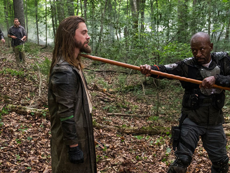 Foto 2 de The Walking Dead (8ª Temporada)