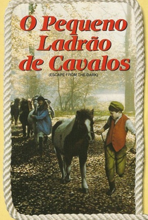 O Pequeno Ladrão de Cavalos - Poster / Capa / Cartaz - Oficial 5