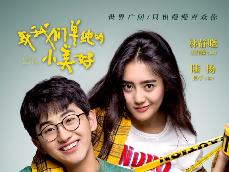 Foto 6 de A Love So Beautiful