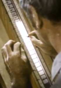 The Eye Hears, the Ear Sees (The Eye Hears, the Ear Sees)