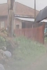 A Coveira das Almas (A Coveira das Almas)