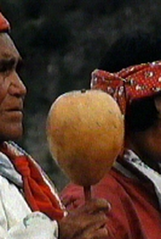 Poster 1 de Filme CIGURI 99 (1999)