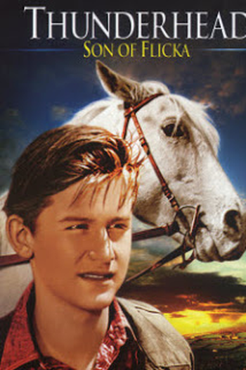  de Filme Fúria Selvagem (1945)