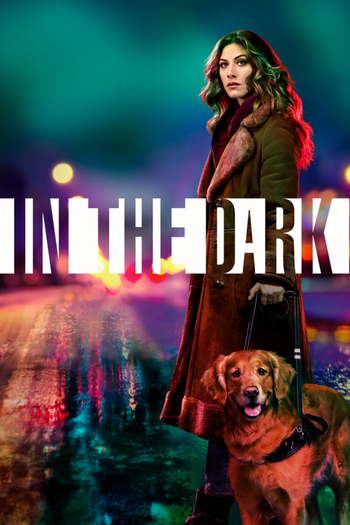 Poster de Franquia In the Dark (2019) (2019)