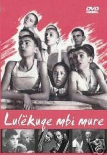 Papoulas Sobre o Muro (Lulekuqet Mbi Mure)