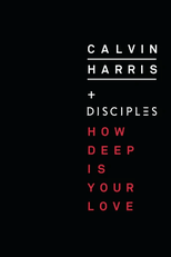 Calvin Harris Feat. Disciples: How Deep is Your Love (Calvin Harris Feat. Disciples: How Deep is Your Love)