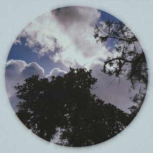 Foto de perfil de Sleepy Ashin
