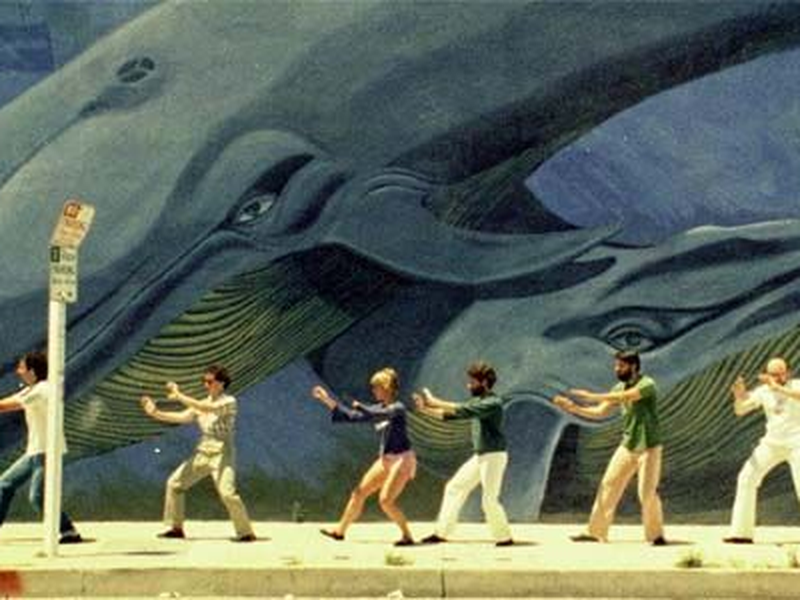 Foto 4 de Muros e Murmúrios