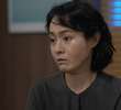33회