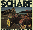 Kenny Scharf: When Worlds Collide