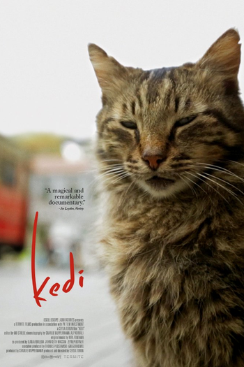  de Filme Gatos (2016)