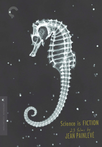 Jeux d'enfants (Jeux d'enfants)