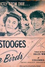 Guerra Em Que Se Viu (Uncivil War Birds)