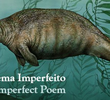 O Poema Imperfeito