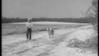 Trailer: Lassie - Opening