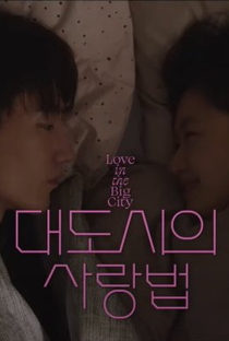 Regras do Amor na Cidade Grande - Poster / Capa / Cartaz - Oficial 11