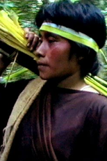 No tempo das chuvas (No tempo das chuvas)